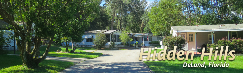 Welcome to Hidden Hills!